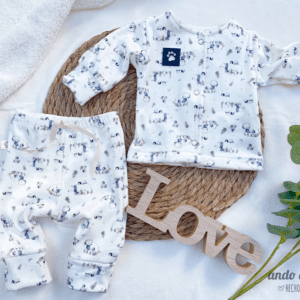 Conjunto Viedma Oso Polar