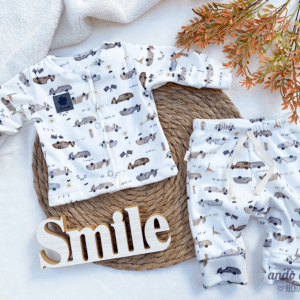 Conjunto Viedma Carreras